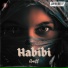 Amitt