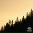 Night Sounds Association