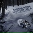 TRUEтень feat. Александр Звинцов