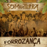 Banda Som da Terra