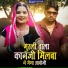 Mahaveer Vaishnav