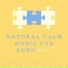 Calm Music Ensemble