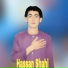 Hassan Shahi