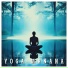 The Yoga Body