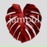 JAMPOL