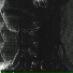 Daku Raito