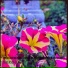 Riversofgarlic01