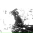 SOROKOVOII