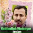 Habibullah Watanyar