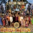 Hilight Tribe Vini Vici