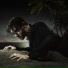 Chris Grey