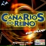 Canários do Reino
