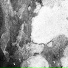 Erjos