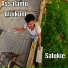 Salukie