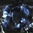 ELAD
