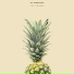 Oli Hannaford