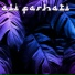 ali farhati