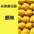 颜林