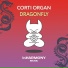 Corti Organ