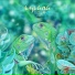 Eguana