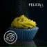 Felicia Co