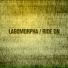 Lagomorpha