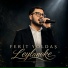 Ferit Yoldaş