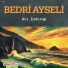 Bedri Ayseli