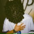 darkzinho