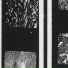 Milo Raad