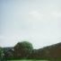 linanthem