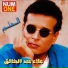 Alaa Abdel Khalek