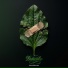 Pra(Killa'Gramm), Romadi, CHIZABEAT