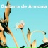 Sonidos de Armonía, Schola Camerata