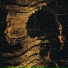 Kairu
