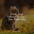 Music For Cats, Music for Pets Library, RelaxMyCat