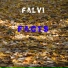 Falvi