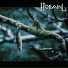 Horakl