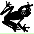 Freddyfrogs