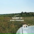 Gambit 13