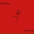XDVLoper