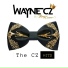 Wayne CZ