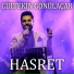 Gültekin Gönülaçar