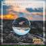 Pleasonic