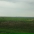 STITAS