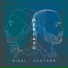 Vincent Bidal, Romain Joutard feat. Romain Berguin