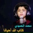 محمد الحميدي