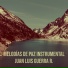 Juan Luis Guerra R.