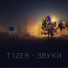 T1ZER