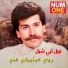 Nabil Abi Shebel